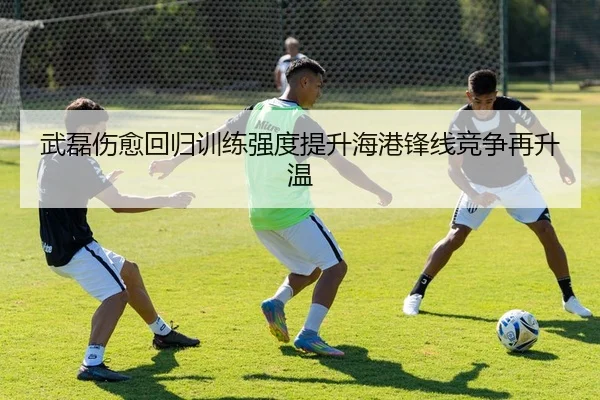 武磊伤愈回归训练强度提升海港锋线竞争再升温